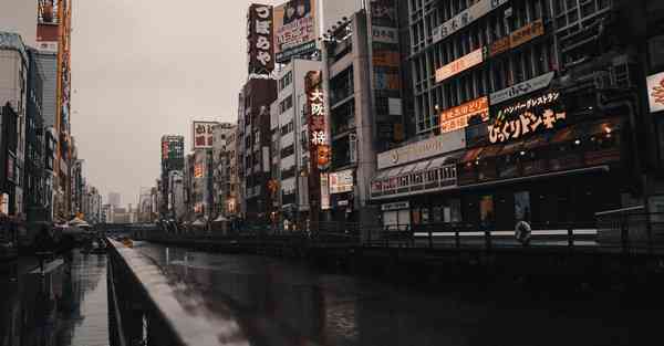 手机vp下载