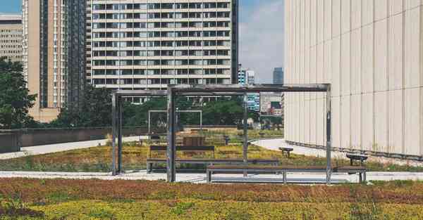 佛跳墙2. 	